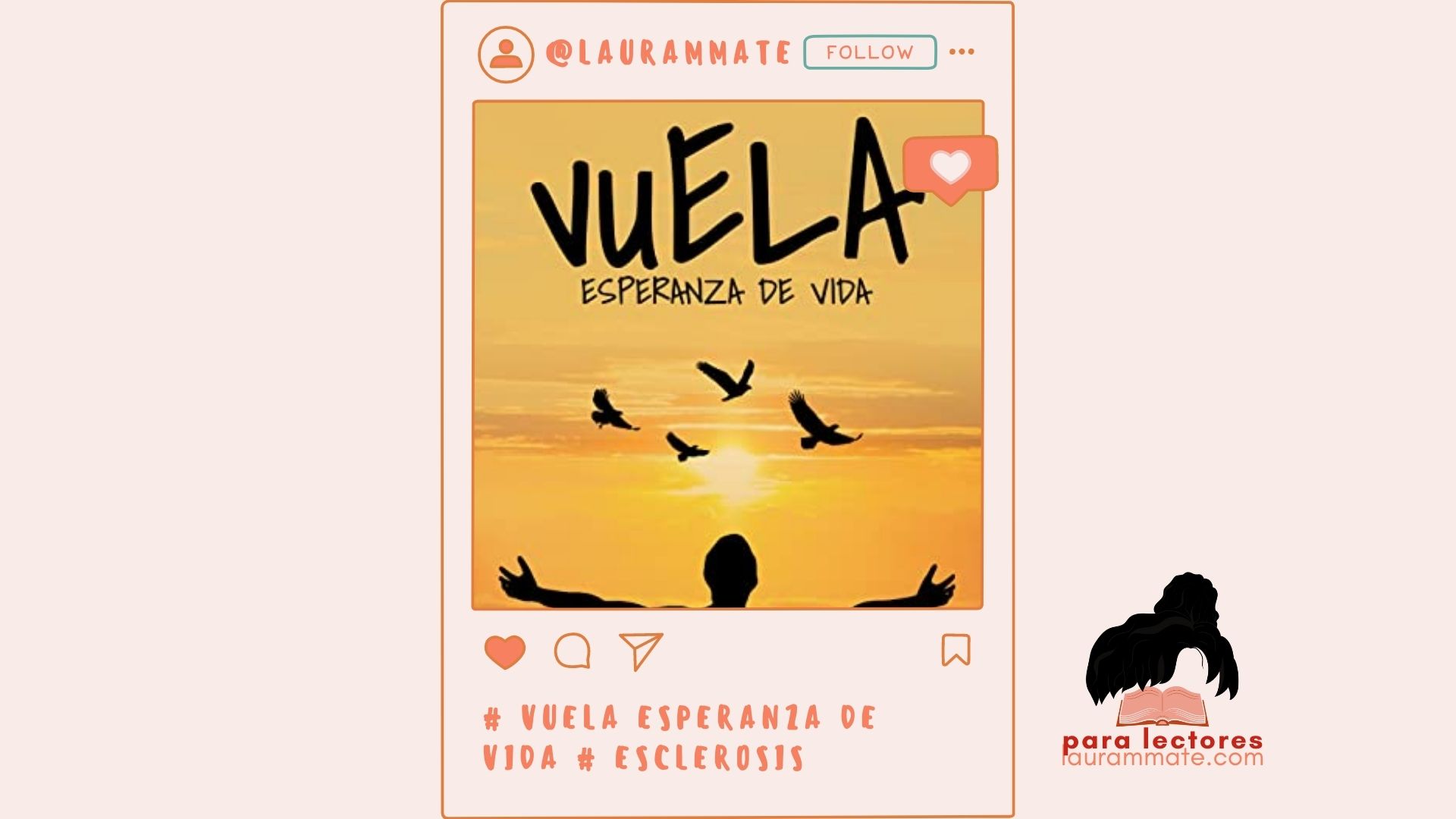 vuela esperanza de vida