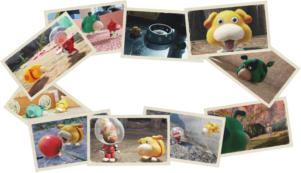 imágenes del archivo 5 del pikmin garden, podría indicar un dlc en camino