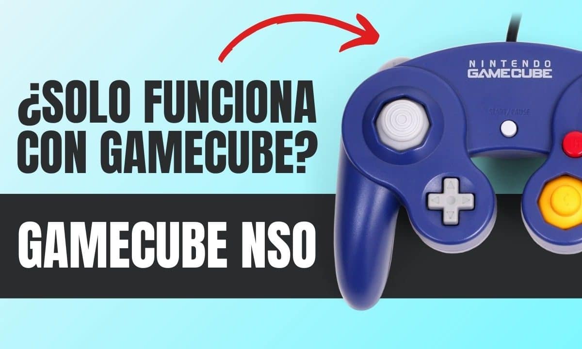se puede usar de mando pro el mando de gamecube de switch 2